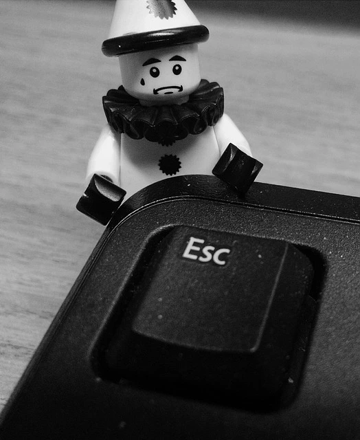 LEGO sets voor 18-jarigen: volwassen bouwervaringen en display sets