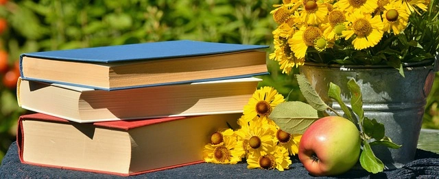 De beste boeken voor 16-jarige meisjes onder €30 (2026)